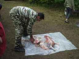 exp-zr-2009 335